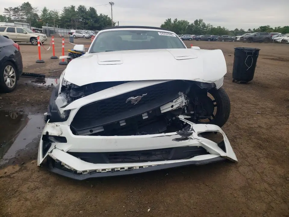 2019 FORD MUSTANG   