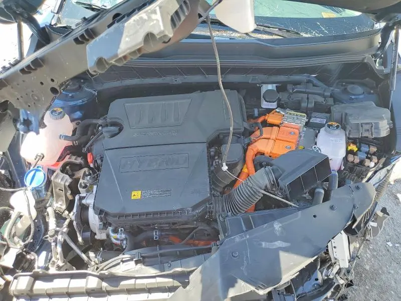 2025 KIA NIRO EX  
