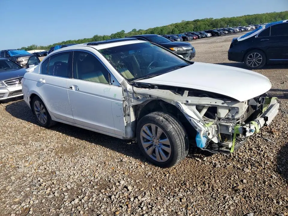 2011 HONDA ACCORD EXL  