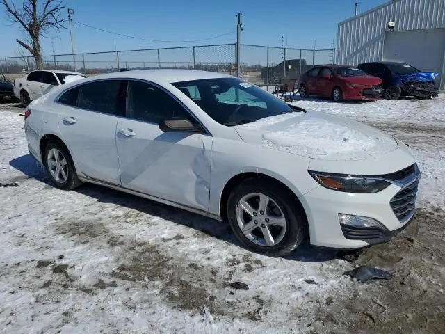 2019 CHEVROLET MALIBU LS  