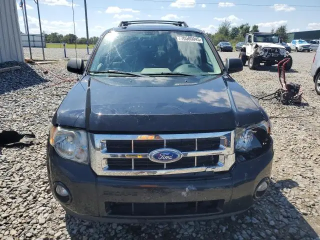 2011 FORD ESCAPE XLT  