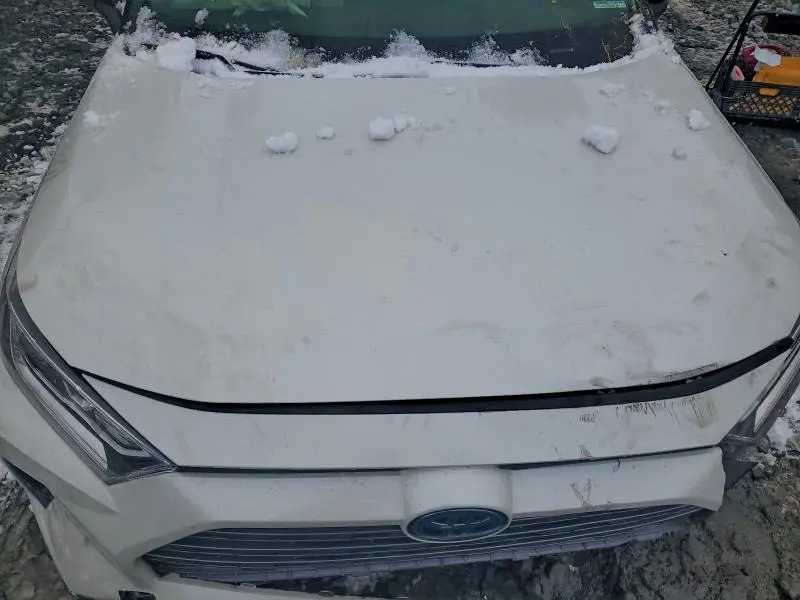 2020 TOYOTA RAV4 XSE  