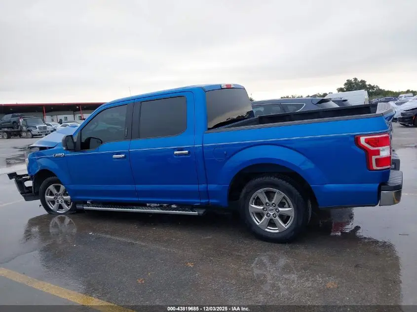 2019 FORD F-150 XLT