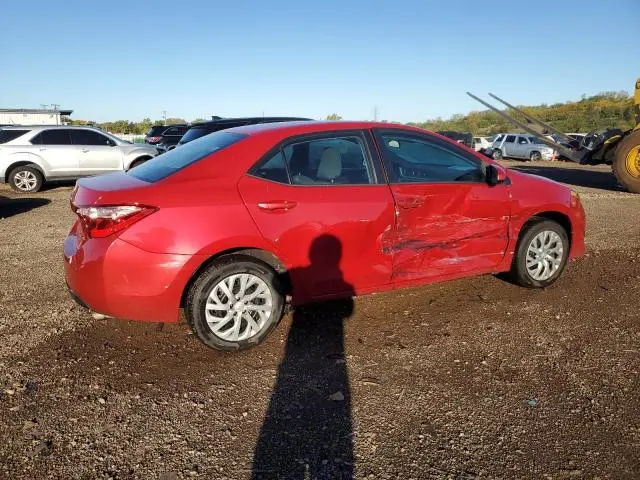 2019 TOYOTA COROLLA L  
