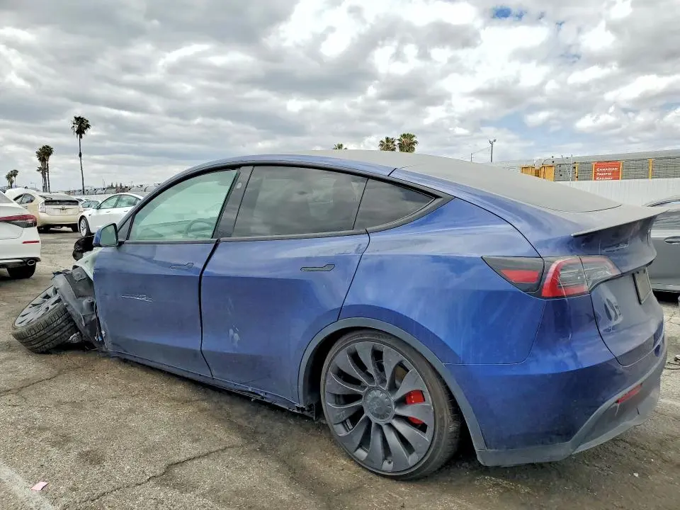 2023 TESLA MODEL Y   