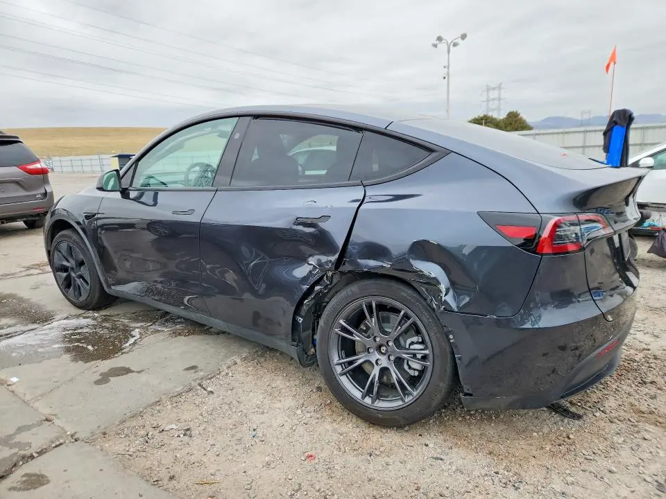 2025 TESLA MODEL Y   