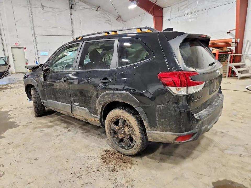 2024 SUBARU FORESTER WILDERNESS  