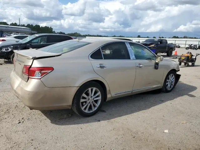 2010 LEXUS ES 350  