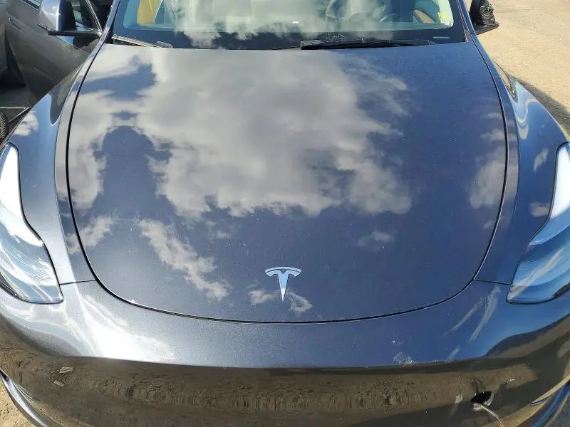 2025 TESLA MODEL Y   