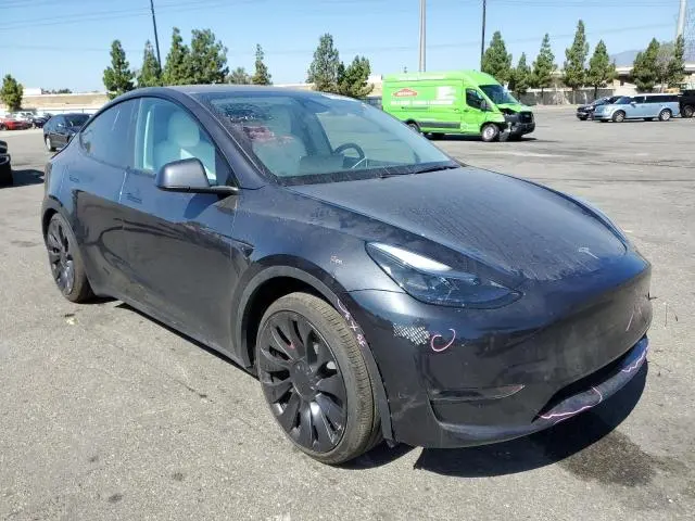 2025 TESLA MODEL Y   