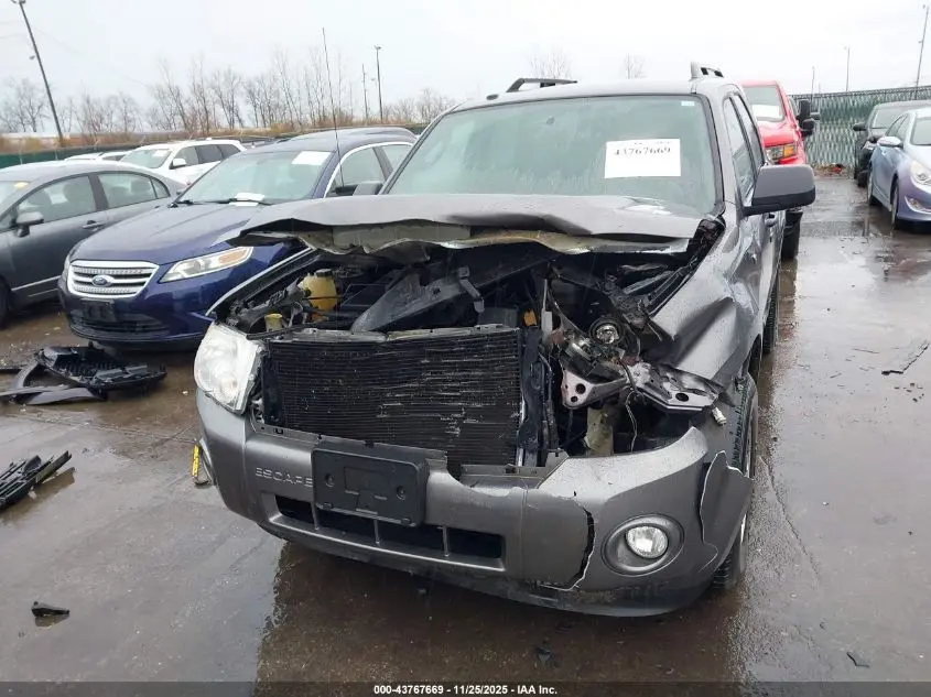 2010 FORD ESCAPE XLT