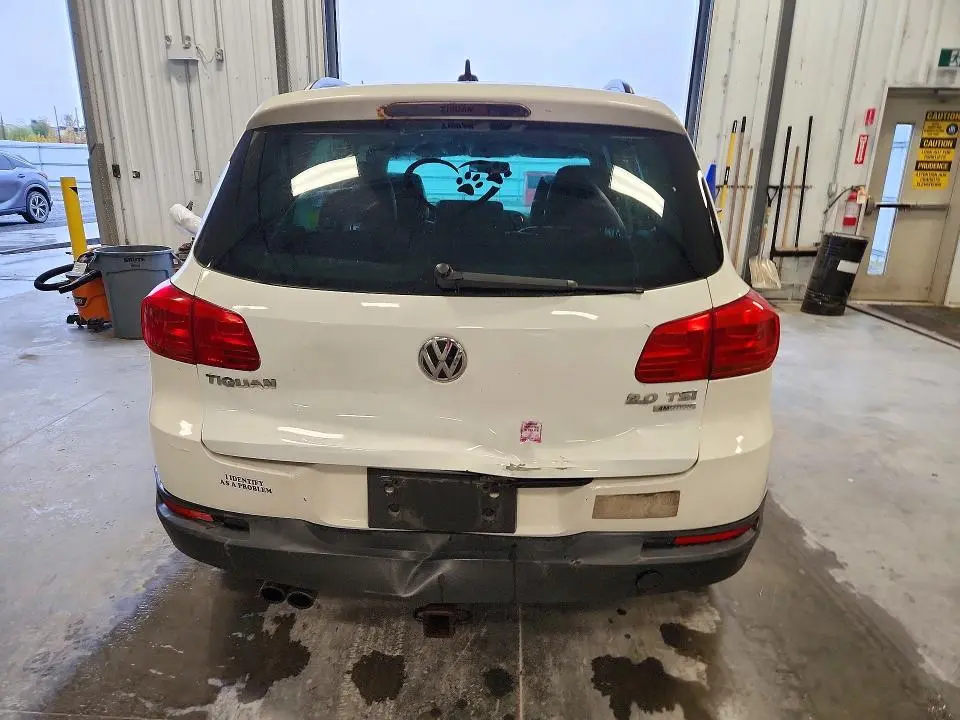 2013 VOLKSWAGEN TIGUAN S  