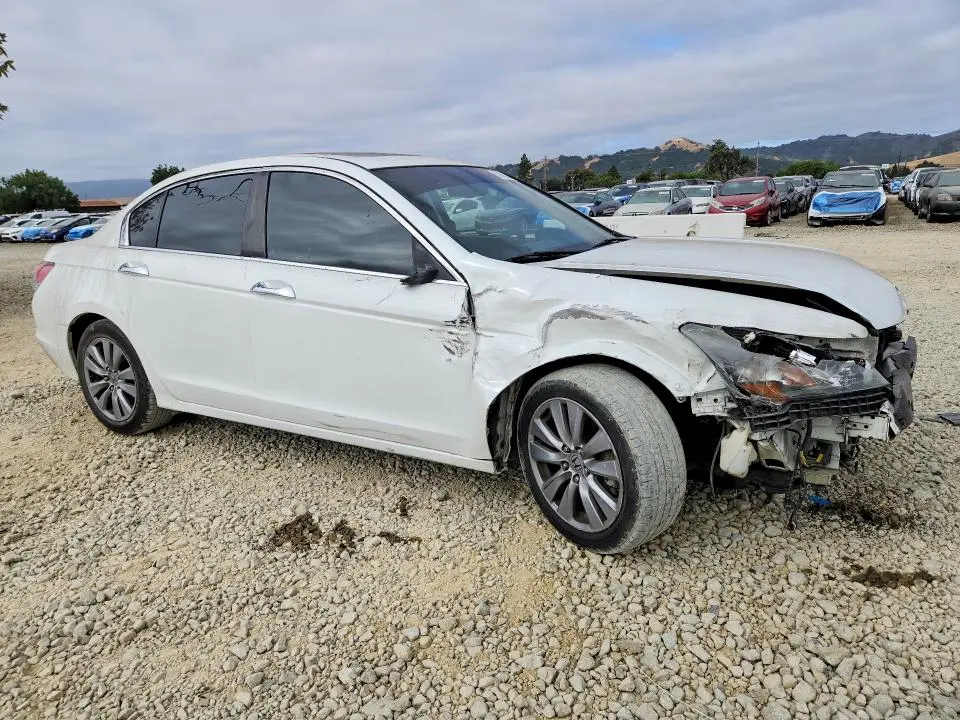 2011 HONDA ACCORD EXL  