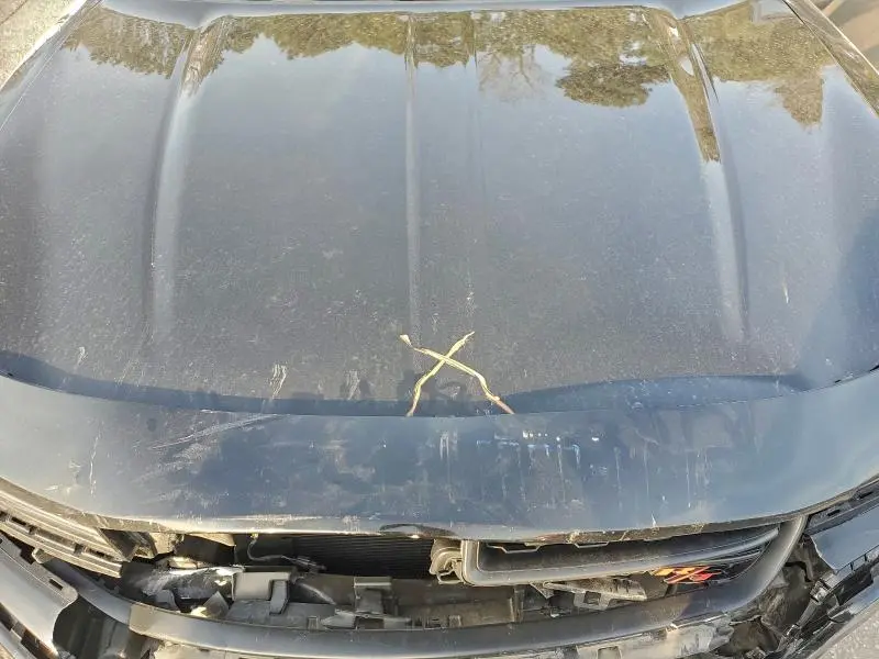 2016 DODGE CHARGER R/T  