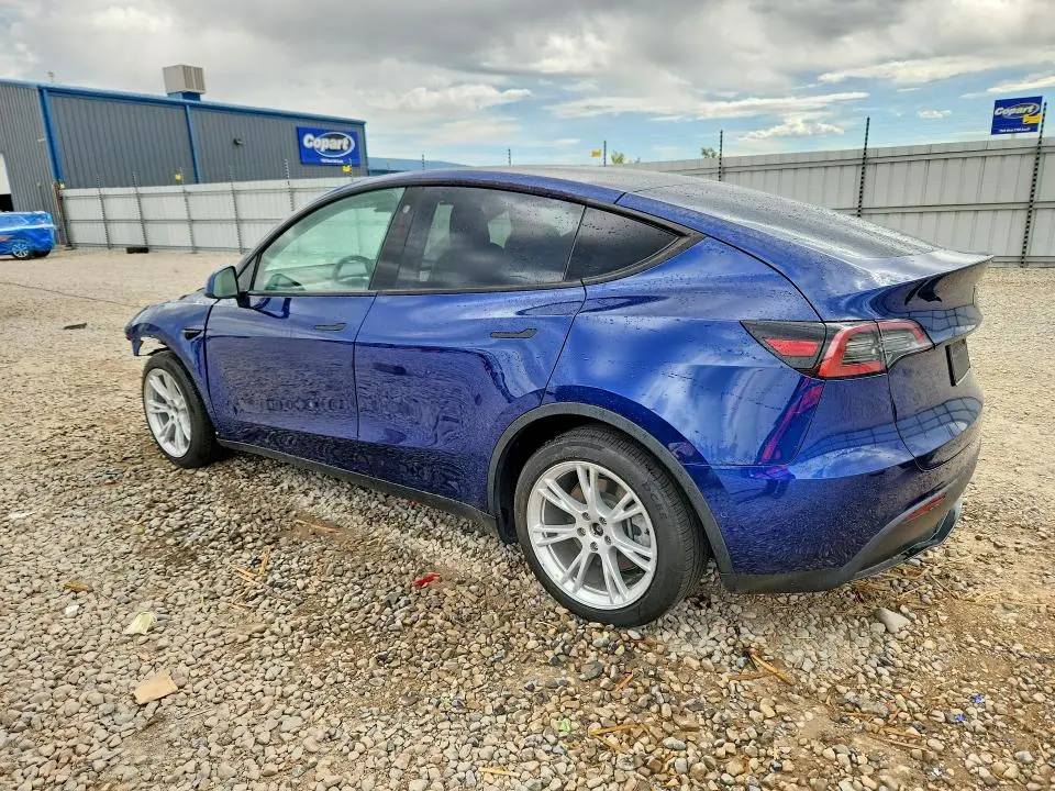 2021 TESLA MODEL Y   