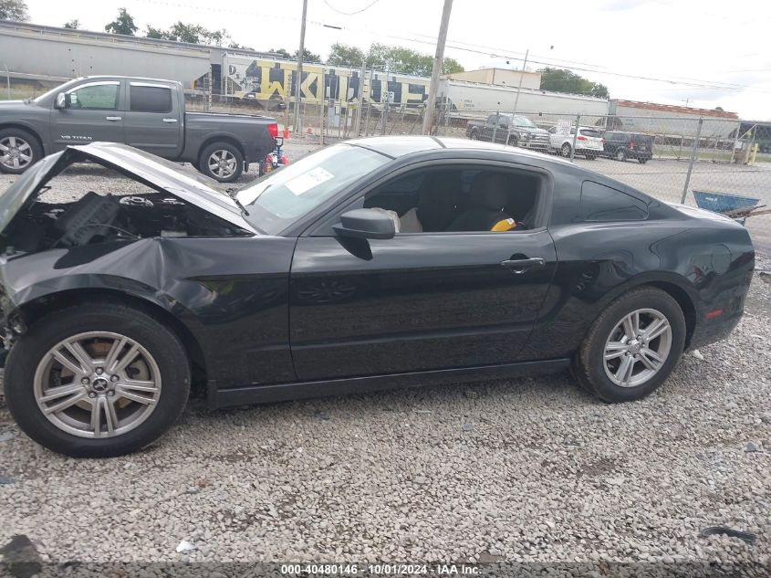 2014 FORD MUSTANG V6