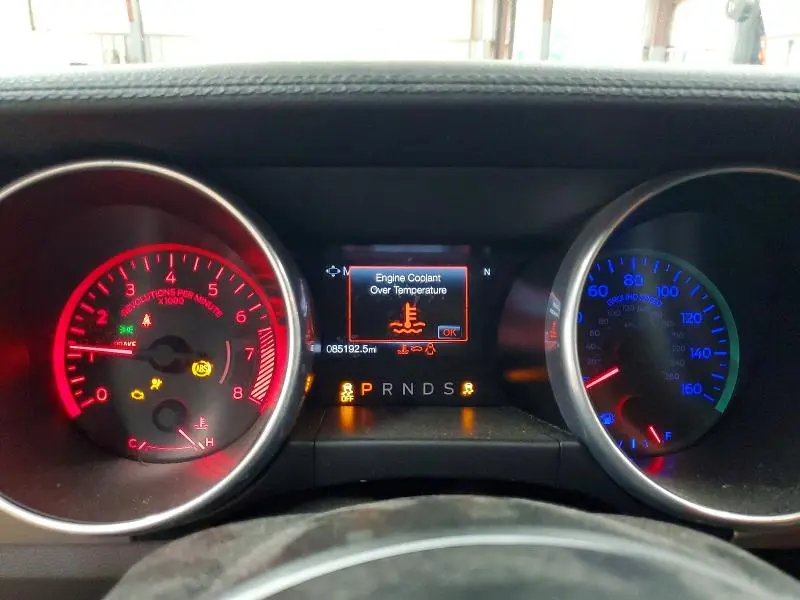 2020 FORD MUSTANG 50TH ANNIVERSARY  