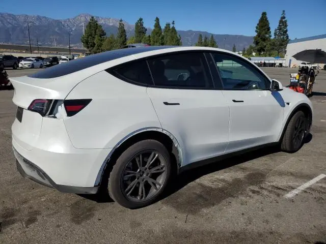 2025 TESLA MODEL Y   