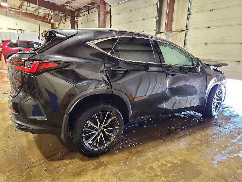 2024 LEXUS NX 350 BASE  