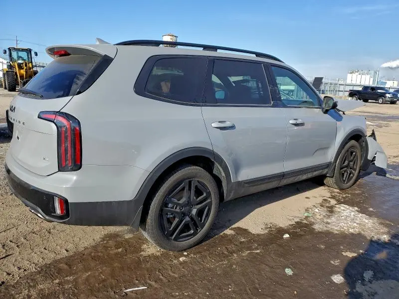 2025 KIA TELLURIDE EX  
