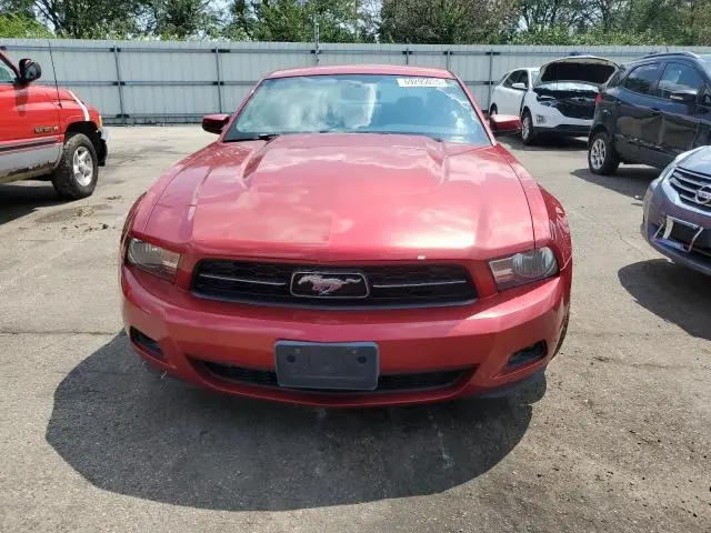 2010 FORD MUSTANG   