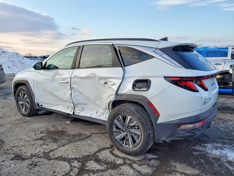 2024 HYUNDAI TUCSON BLUE  