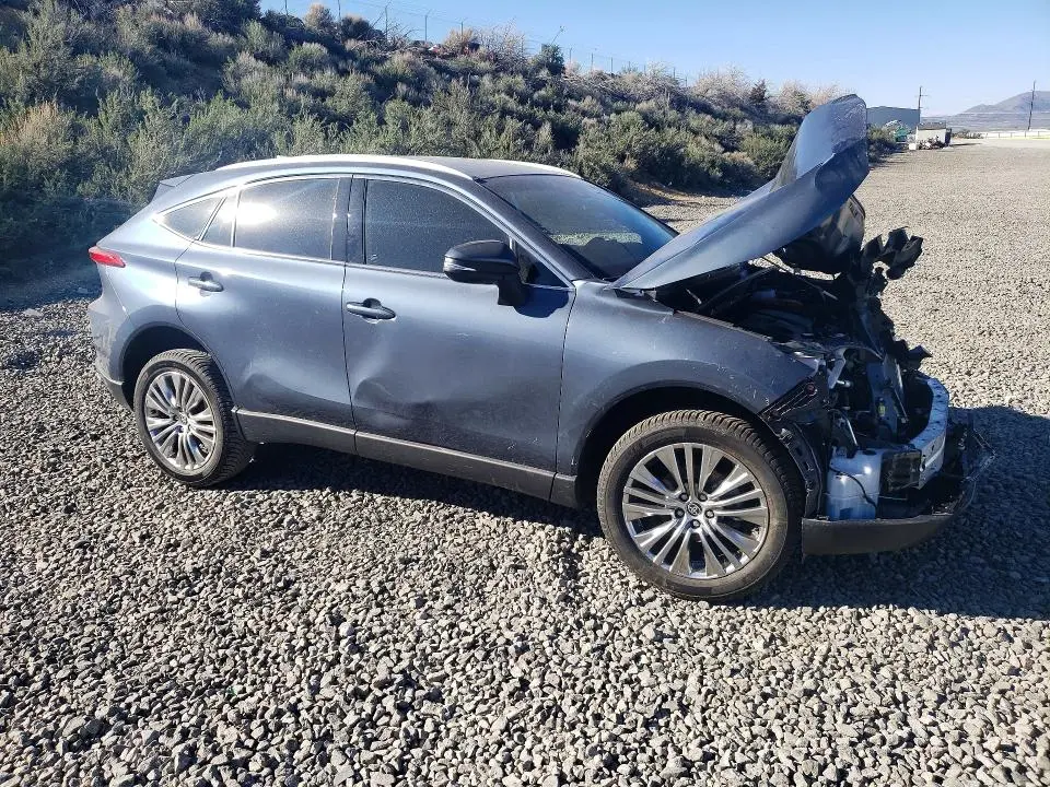 2024 TOYOTA VENZA XLE  