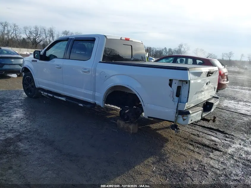 2019 FORD F-150 XLT