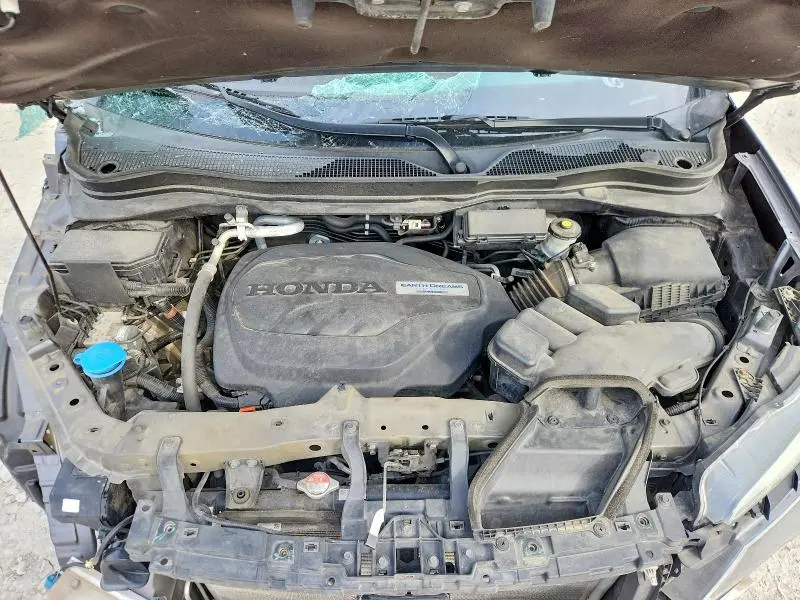 2019 HONDA PILOT EXL  