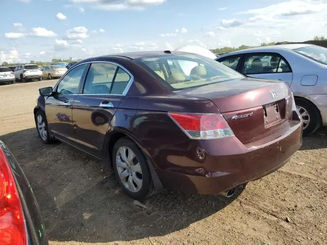 2010 HONDA ACCORD EXL  