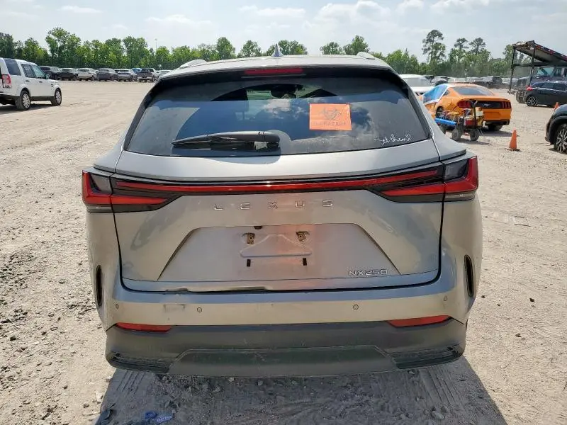 2024 LEXUS NX 250 PREMIUM  