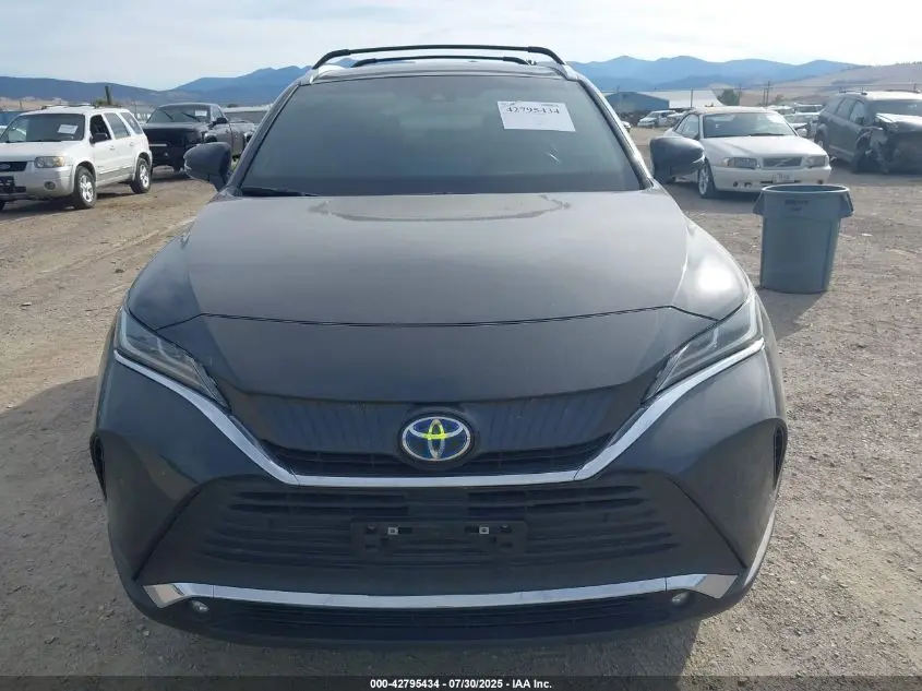 2024 TOYOTA VENZA XLE