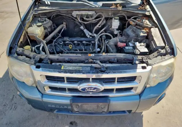 2010 FORD ESCAPE XLT  