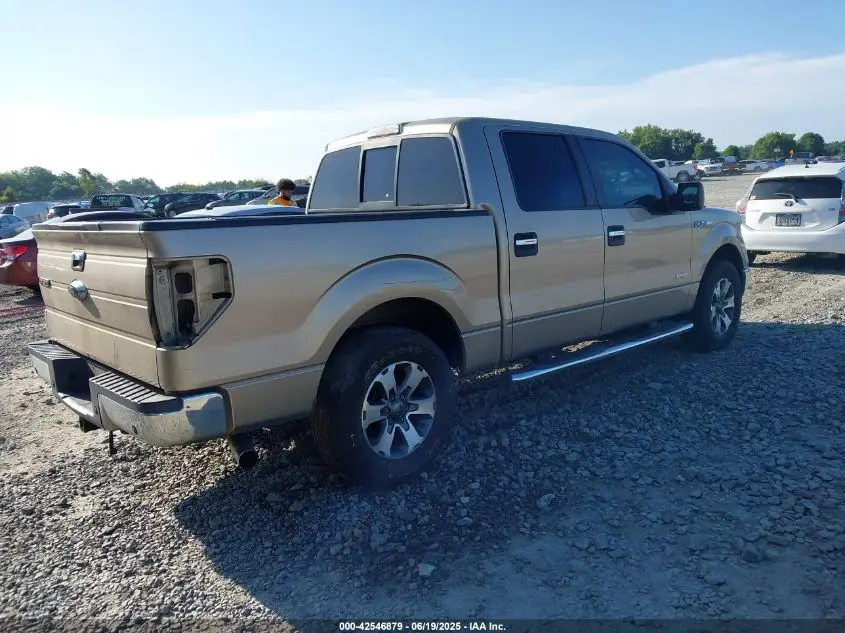 2013 FORD F-150 XLT
