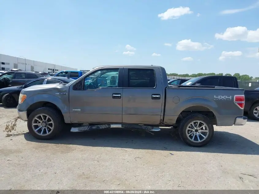 2011 FORD F-150 XLT