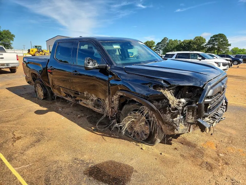 2025 TOYOTA TUNDRA SR5  