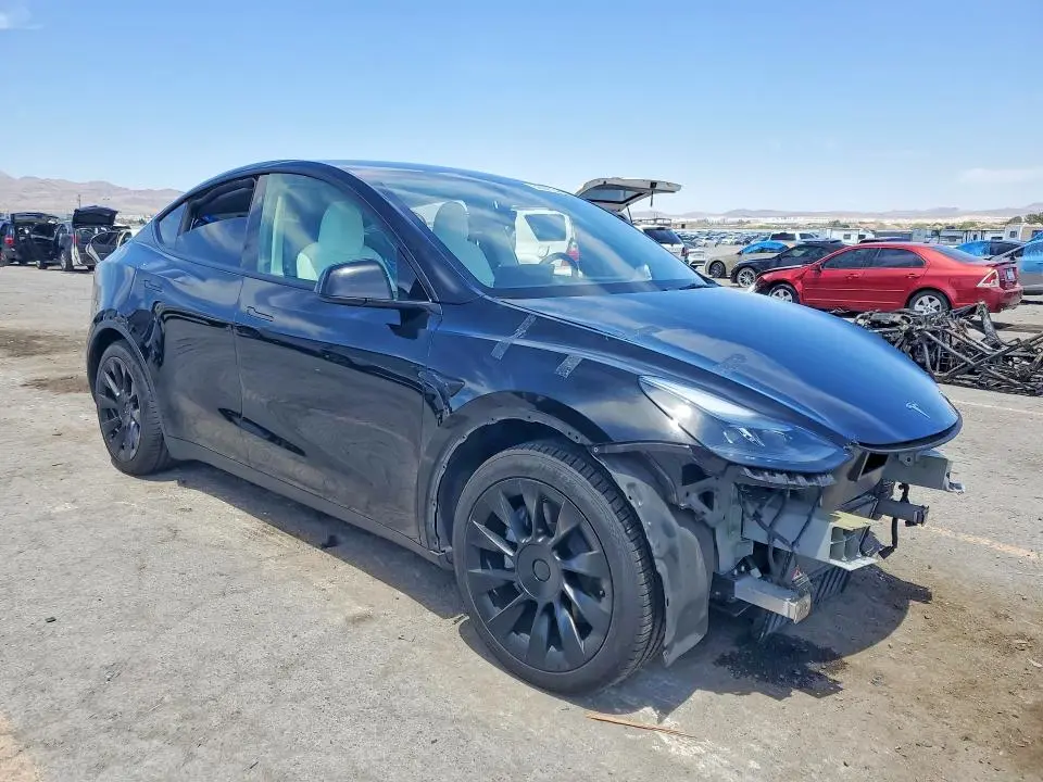 2025 TESLA MODEL Y   