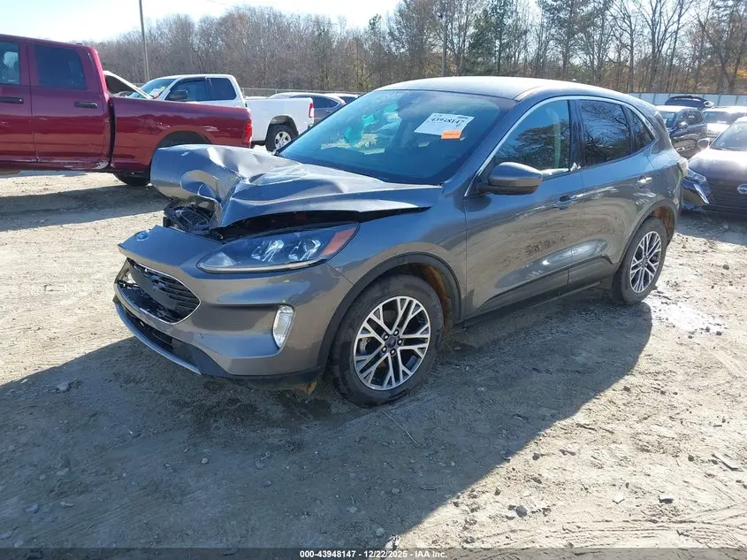 2022 FORD ESCAPE SEL