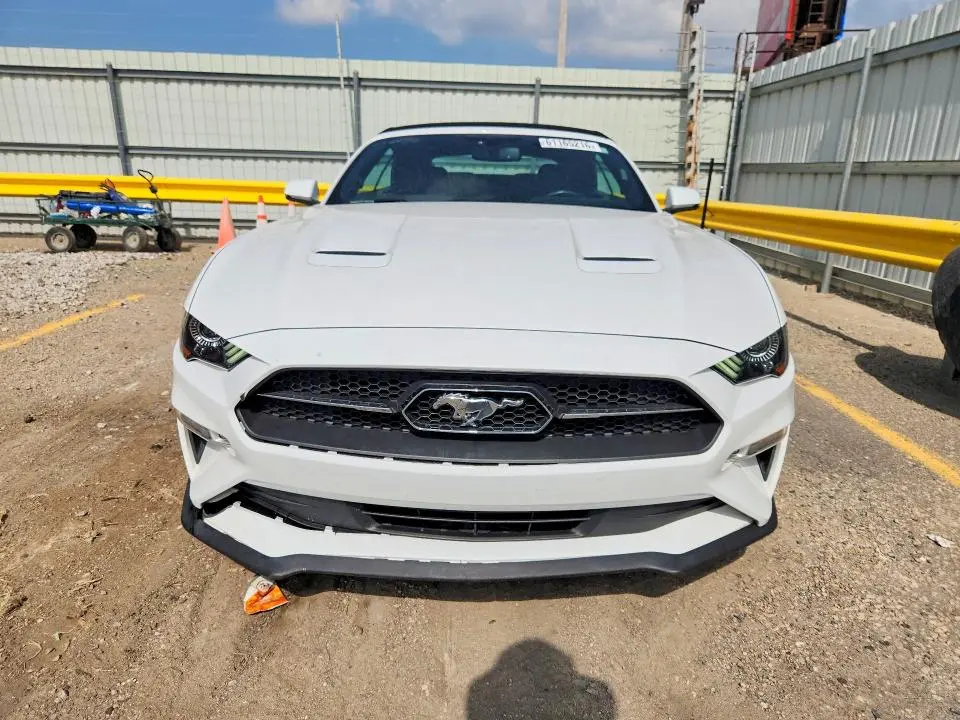 2019 FORD MUSTANG   