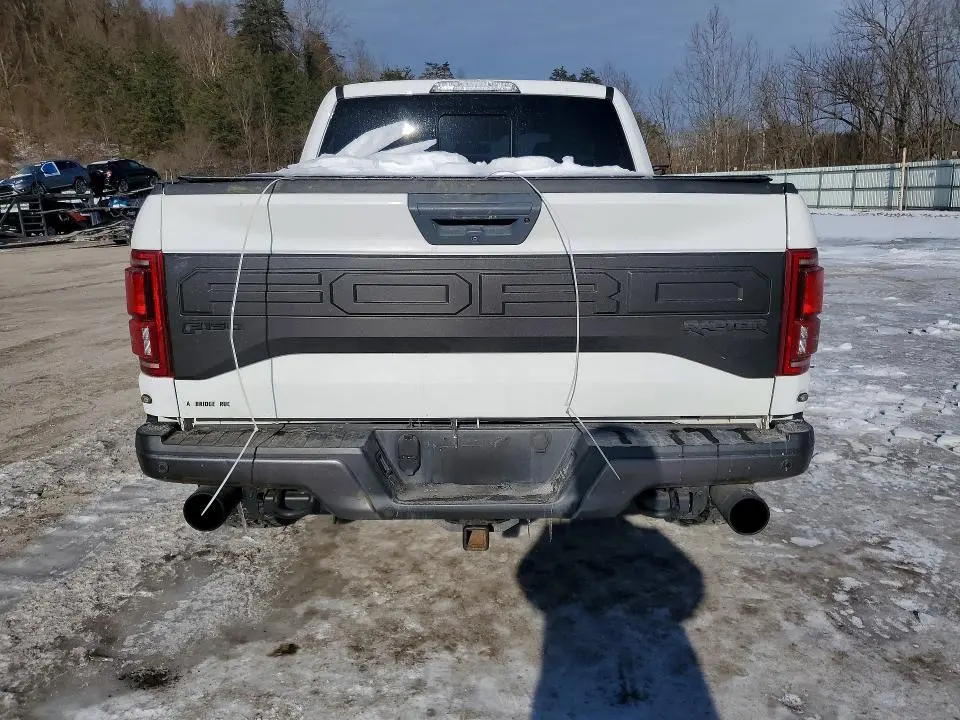 2017 FORD F150 RAPTOR  