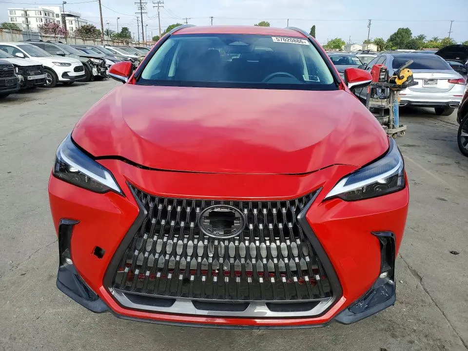 2022 LEXUS NX 250  