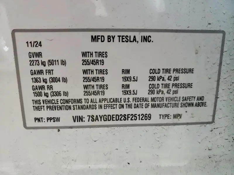 2025 TESLA MODEL Y   