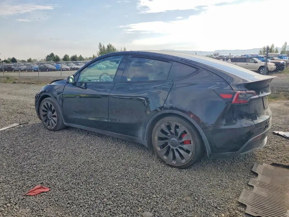 2023 TESLA MODEL Y   