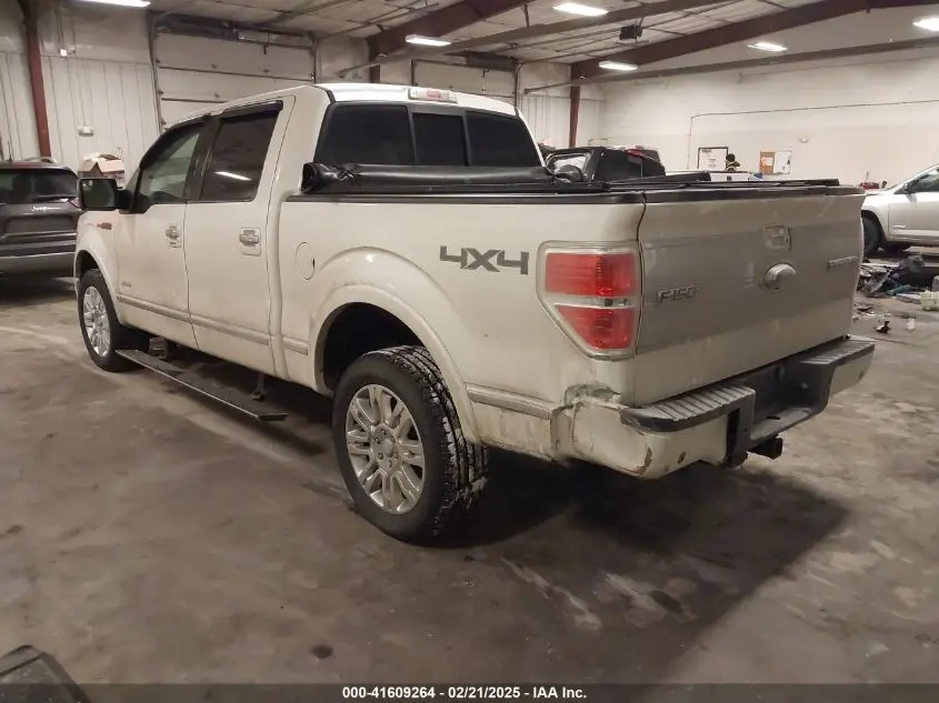 2013 FORD F-150 PLATINUM