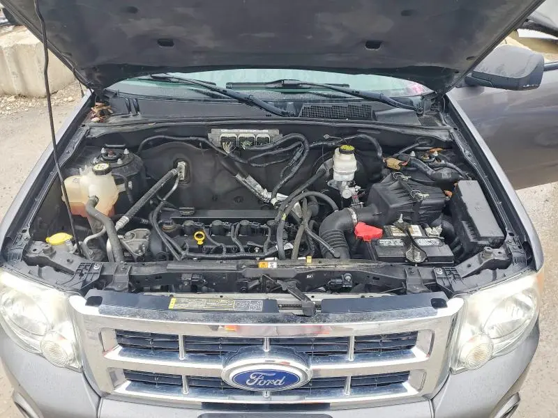 2011 FORD ESCAPE XLT  