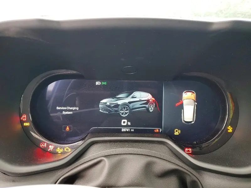 2024 DODGE HORNET R  
