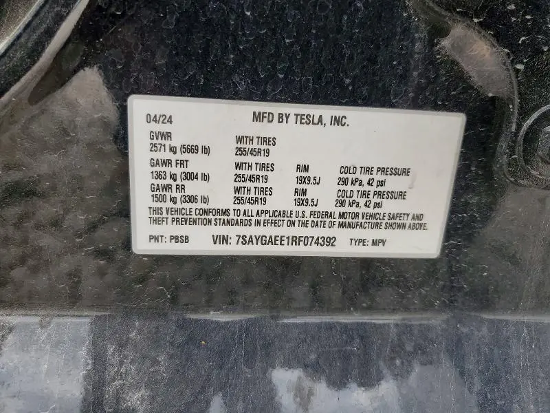 2024 TESLA MODEL Y   
