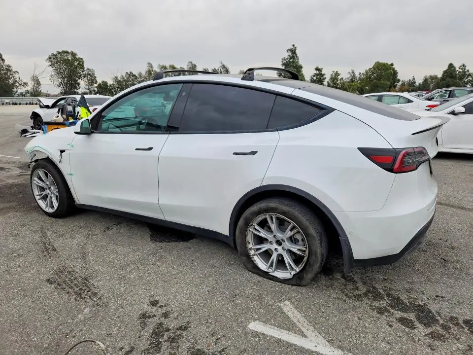2021 TESLA MODEL Y   