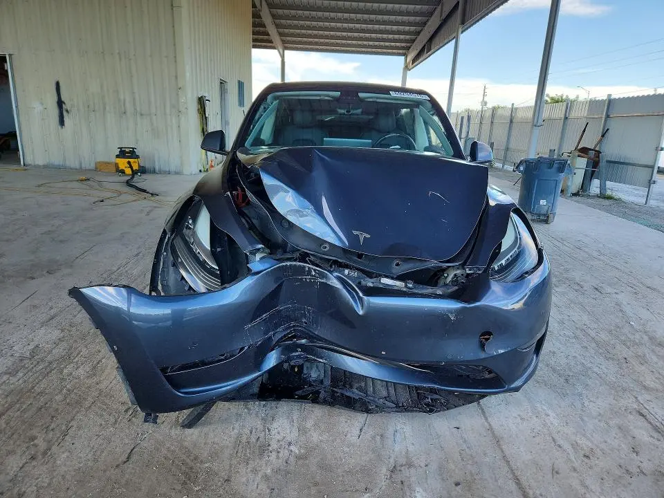 2021 TESLA MODEL Y   