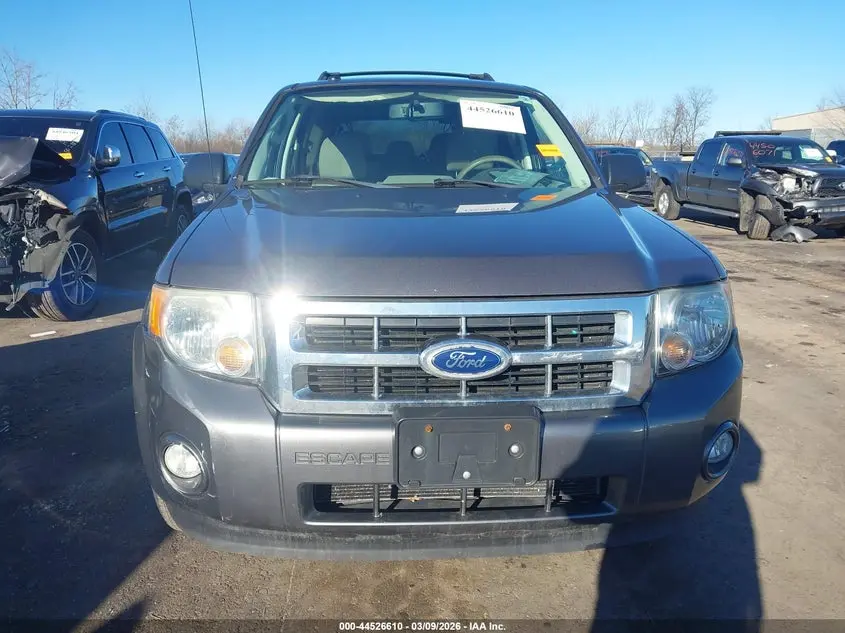2010 FORD ESCAPE XLT